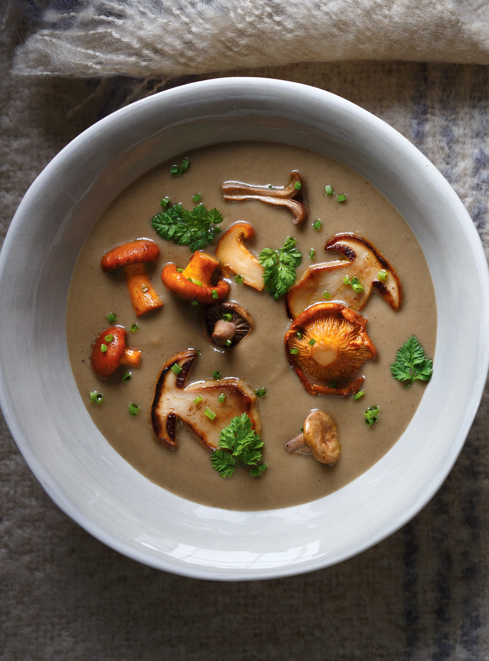 Soupe aux champignons sauvages