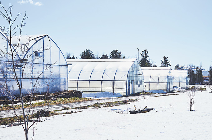 The fascinating winter harvest of Quebec’s Ferme des Quatre-Temps